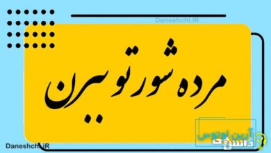 مرده شورتو ببرن