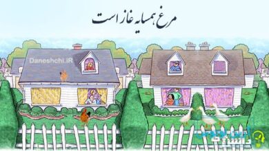 ضرب المثل مرغ همسایه غاز است