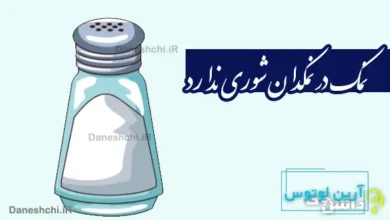 نمک در نمکدان شوری ندارد، دل من طاقت دوری ندارد