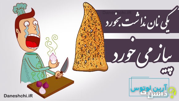 یکی نان نداشت بخورد پیاز می خورد 