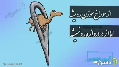 از سوراخ سوزن رد میشه اما از در دروازه رد نمیشه