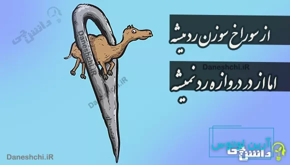 از سوراخ سوزن رد میشه اما از در دروازه رد نمیشه