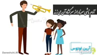 آدم ناشی سرنا را از سر گشاد آن می زند