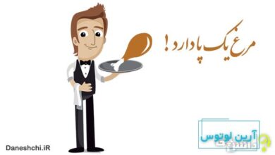 معنی مرغ یک پا دارد