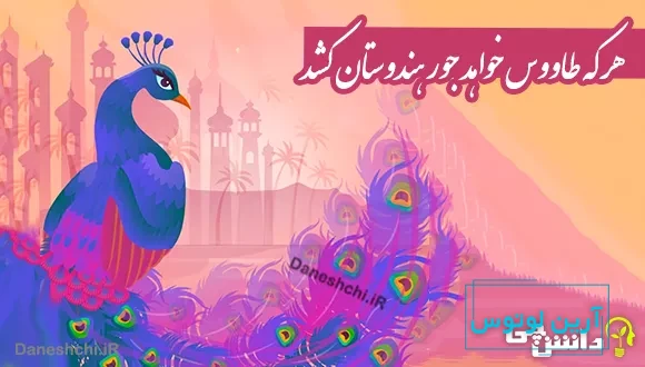 معنی ضرب المثل هر که طاووس خواهد جور هندوستان کشد