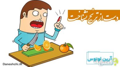 دست از ترنج نشناخت