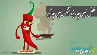 معنی فلفل نبین چه ریزه بشکن ببین چه تیزه