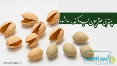 پسته بی مغز چون لب وا کند رسوا شود