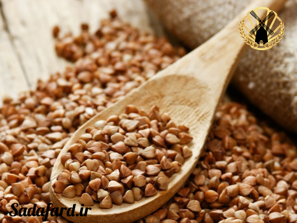 دانه گندم سیاه و شکل سه وجهی آن