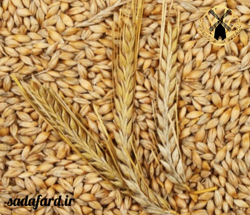 مراکز خرید آرد جو به صورت اینترنتی و حضوری انجام می شود.