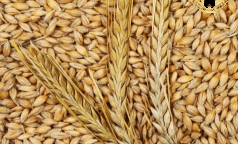 مراکز خرید آرد جو