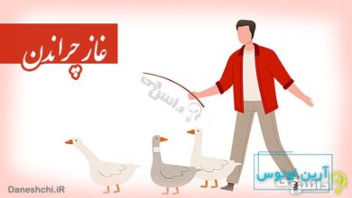 ضرب المثل غاز چراندن