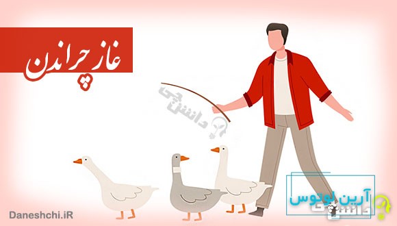 ضرب المثل غاز چراندن