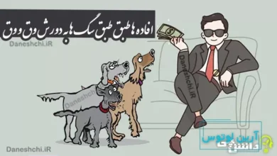 ضرب المثل افاده ها طبق طبق سگ ها به دورش وق و وق