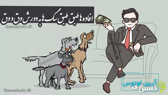 ضرب المثل افاده ها طبق طبق سگ ها به دورش وق و وق