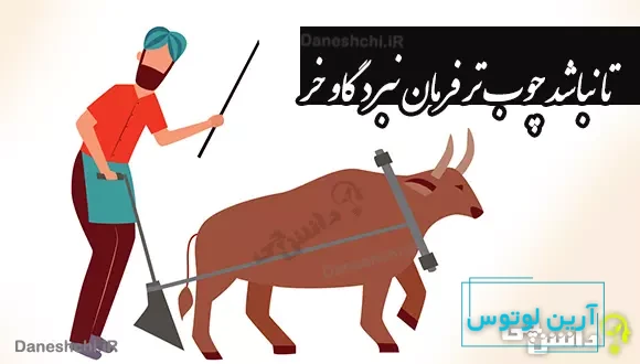 تا نباشد چوب تر فرمان نبرد گاو خر