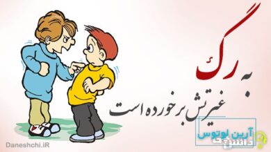 به رگ غیرتش برخورده است