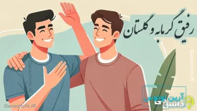 رفیق گرمابه و گلستان