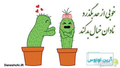 خوبی که از حد بگذرد نادان خیال بد کند