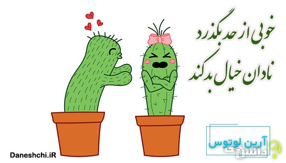 خوبی که از حد بگذرد نادان خیال بد کند