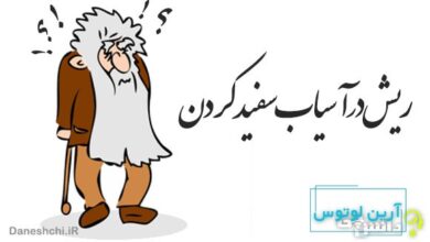 ریش در آسیاب سفید کردن