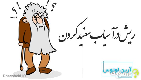 ریش در آسیاب سفید کردن 