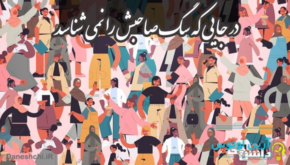 در جایی که سگ صاحبش را نمی شناسد 