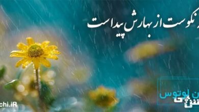 سالی که نکوست از بهارش پیداست