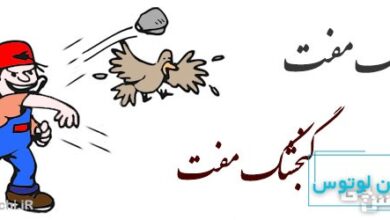 سنگ مفت، گنجشک مفت