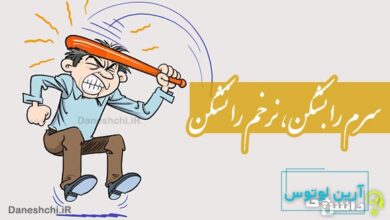 سرم را بشکن، نرخم را نشکن