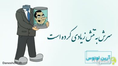 معنی ضرب المثل سرش به تنش زیادی کرده است