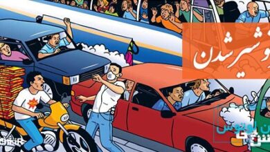 شیر تو شیر شدن