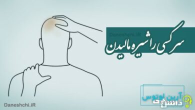 سر کسی را شیره مالیدن