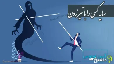 ضرب المثل سایه کسی را با تیر زدن