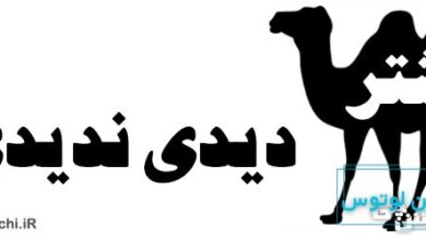 شتر دیدی ندیدی