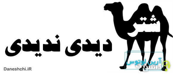 شتر دیدی ندیدی