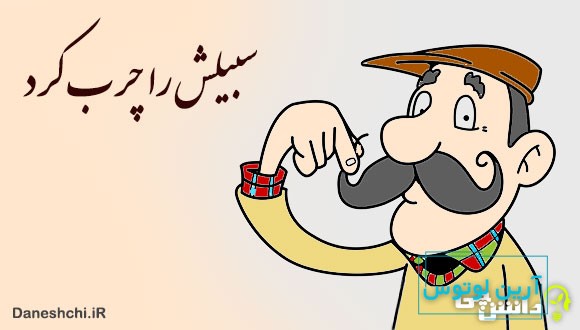 سبیلش را چرب کرد 