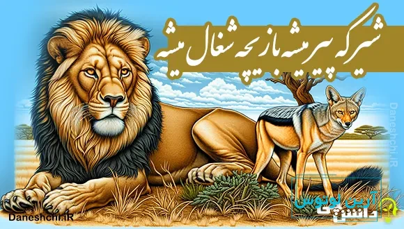 شیر که پیر میشه بازیچه شغال میشه