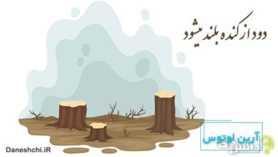 دود از کنده بلند میشود