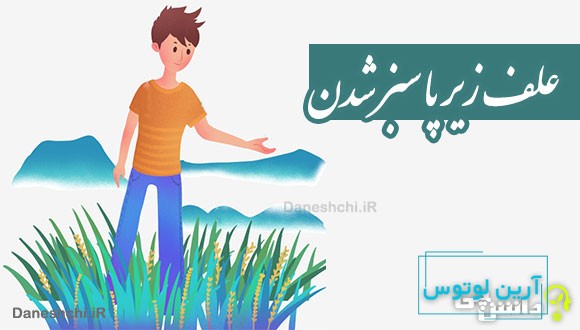 علف زیر پا سبز شدن