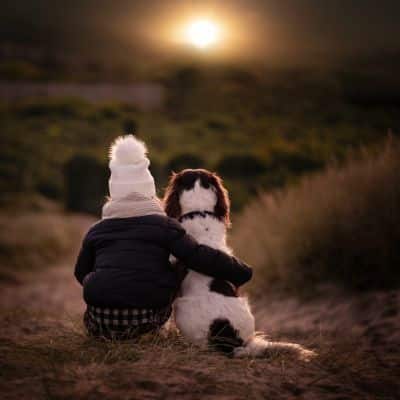 داشتن سگ و گربه