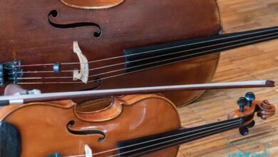 حقایق جالب درباره سازهای زهی