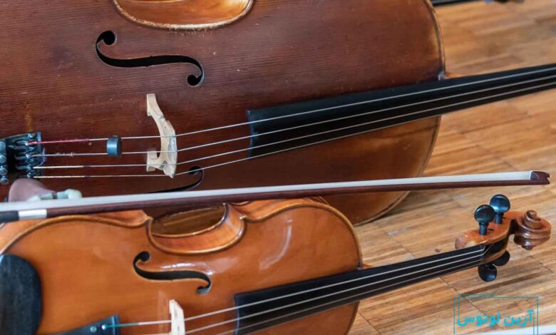 حقایق جالب درباره سازهای زهی