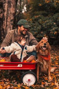 نکات مهم پیش از به سرپرستی گرفتن سگ 