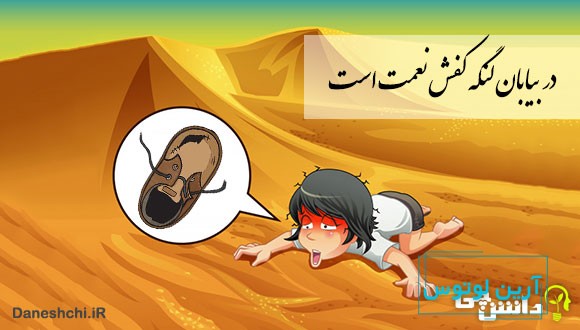 معنی در بیابان لنگه کفش نعمت است