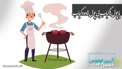با پول ها کباب بی پول ها دود کباب