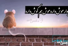 دیوار موش دارد موش هم گوش دارد