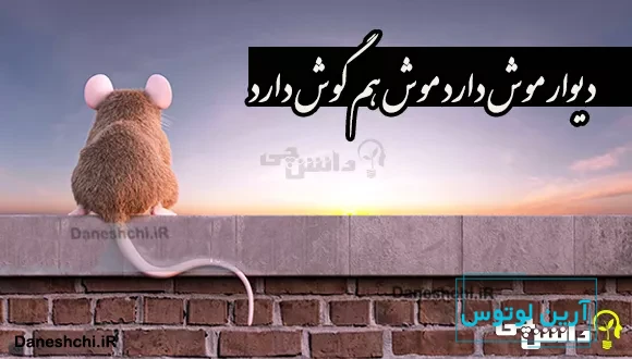 دیوار موش دارد موش هم گوش دارد