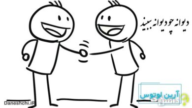 دیوانه چو دیوانه ببیند خوشش آید