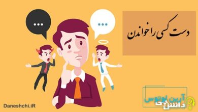 ضرب المثل دست کسی را خواندن